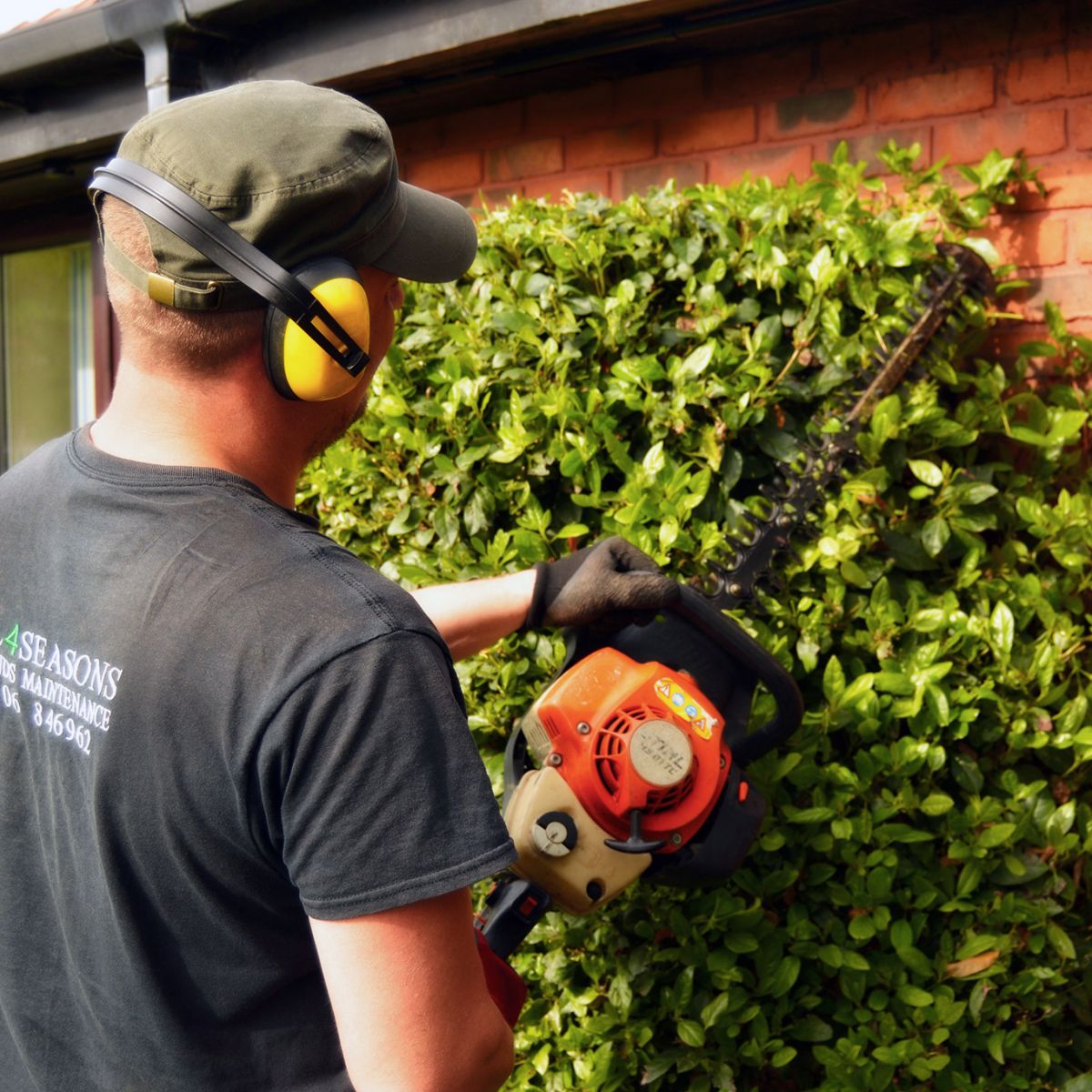Bush Trimming