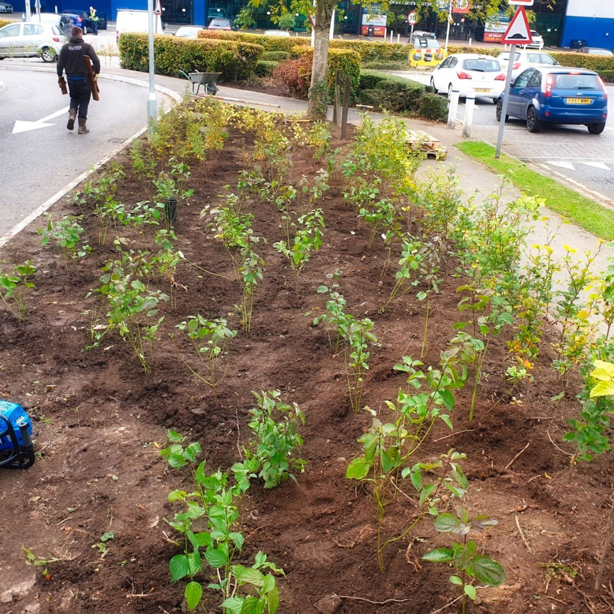 Planting in Rochdale