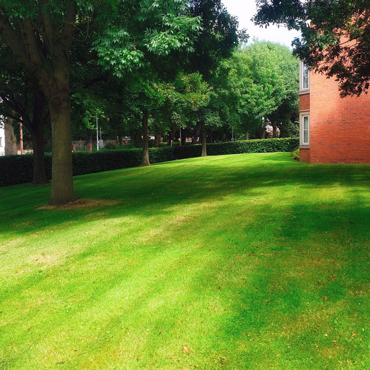 Property Management Grounds Maintenance