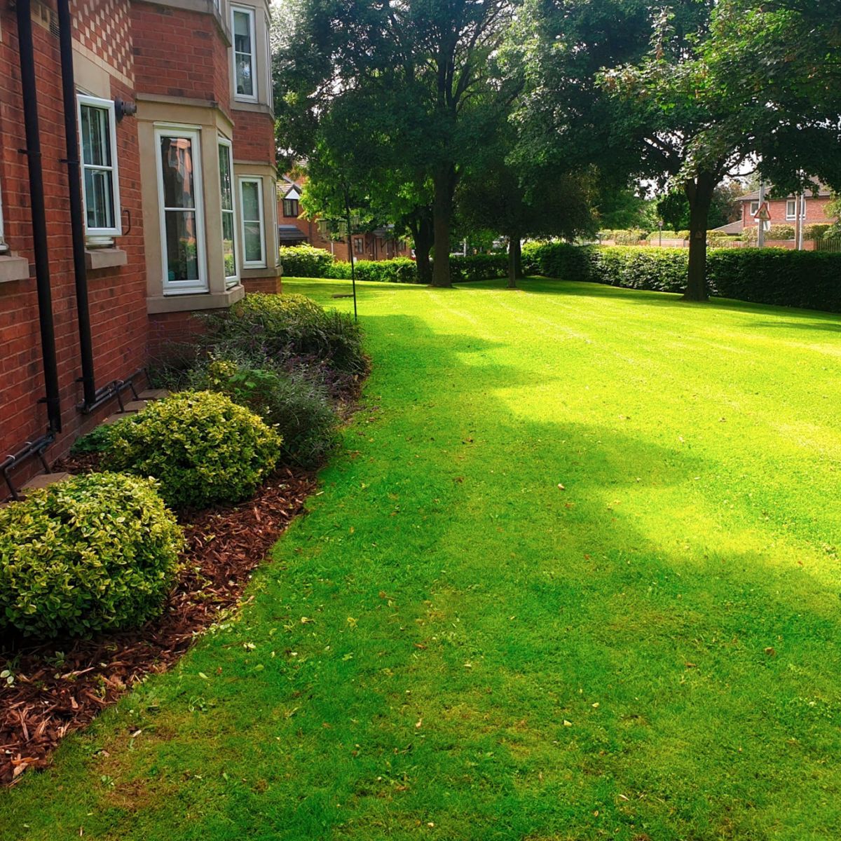 Tailored Grounds Maintenance Packages
